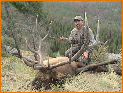 Trophy Elk/Deer
